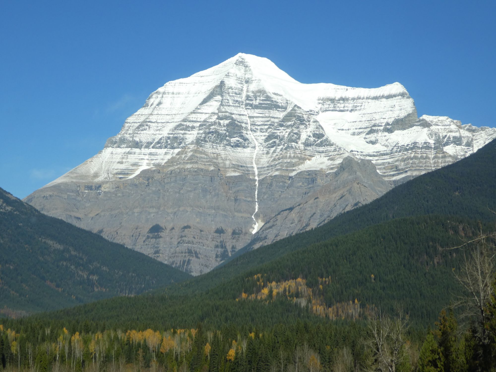 Snow-capped Mount Robson above forested foothills and autumn aspens